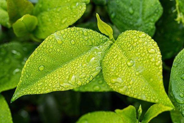 Comment réduire sa consommation d'énergie et d'eau ?