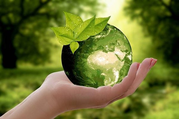 Comment sensibiliser son entourage et son milieu professionnel aux enjeux écologiques ?