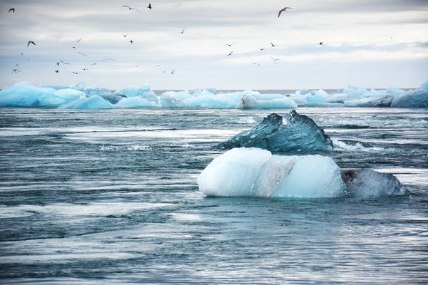 Quels sont les impacts du changement climatique sur l'environnement en Europe ?